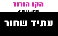 אוטוסטרדה באמצע אחוזה ברעננה? עקירה של עצים? שינוי חזות העיר? לא תודה!