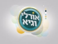 ממשלה צרה