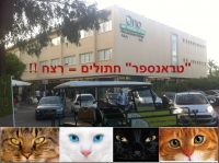 נגד הקריה האקדמית אונו - ושיטת העלמת החתולים מהקמפוס