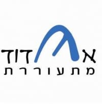 החזרת קו הלילה 333 לאשדוד